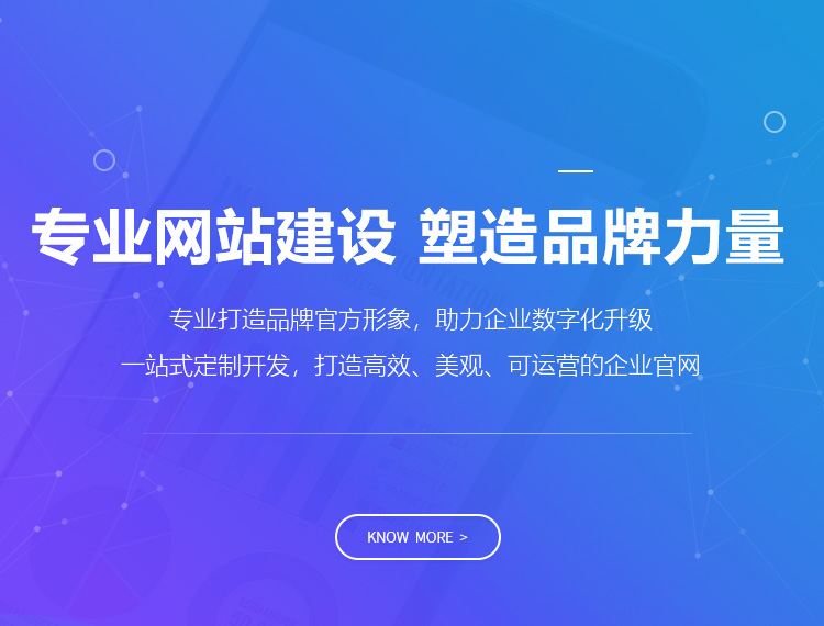 乐至建站-专业网站建设 塑造品牌力量
